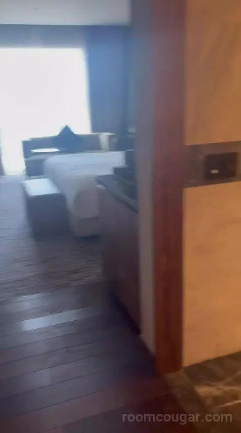 Junior Suite with Concierge Lounge Access and 1 King bed picture #12