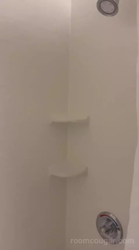 King Room (#308) bathroom picture #6