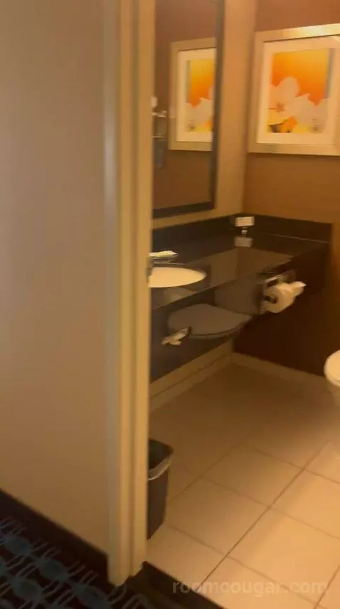 King Room (#308) bathroom picture #1