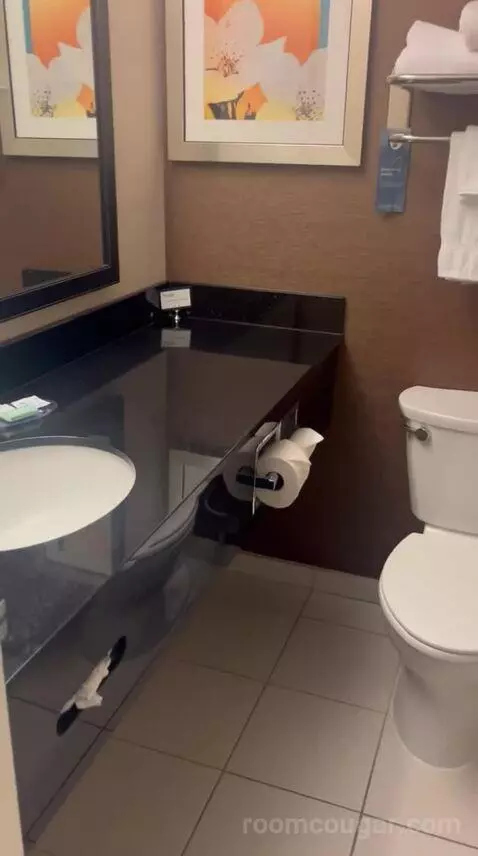 King Room (#308) bathroom picture #2