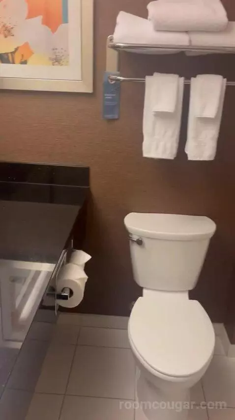 King Room (#308) bathroom picture #3