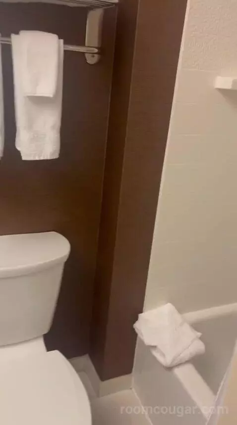 King Room (#308) bathroom picture #4