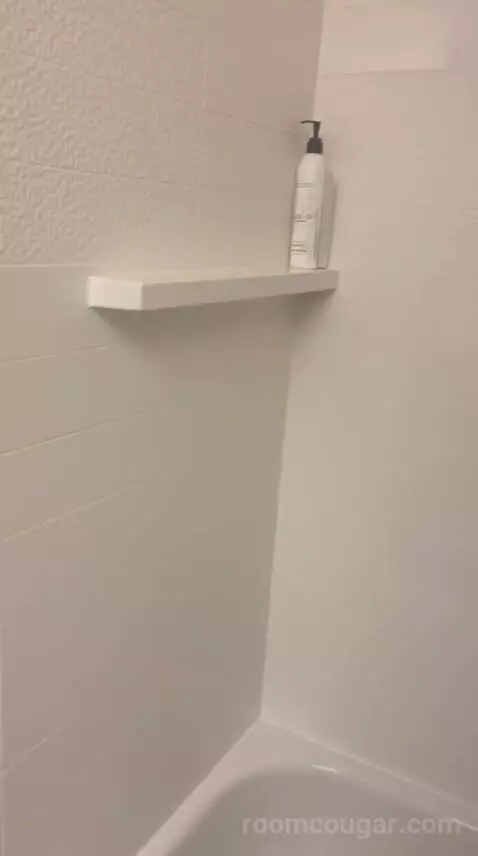 King Room (#308) bathroom picture #5