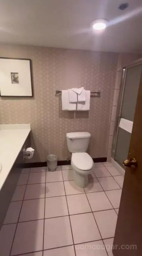 Royal Tower Two Queen Room (#5112) bathroom picture #7