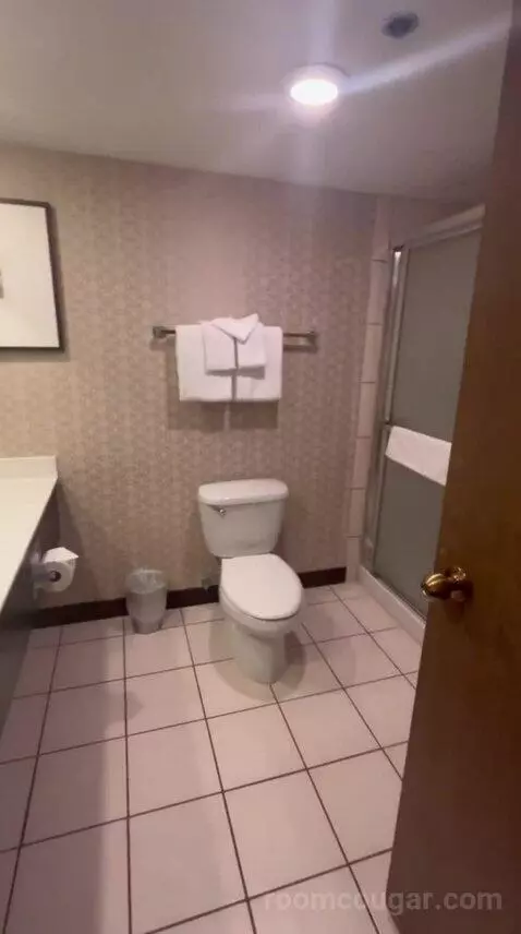 Royal Tower Two Queen Room (#5112) bathroom picture #9