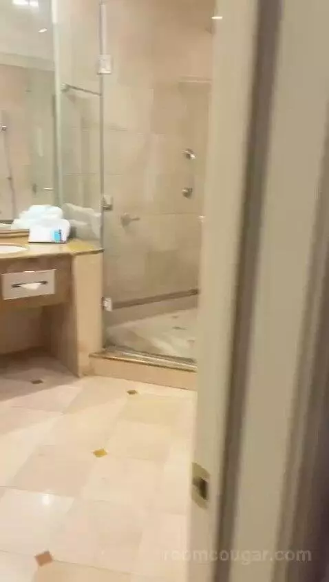 Deluxe, 1 Bedroom Junior Suite, 1 King, City View, Whirlpool (#1042) bathroom picture #1