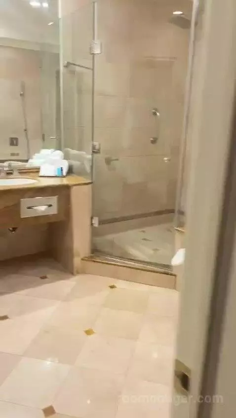 Deluxe, 1 Bedroom Junior Suite, 1 King, City View, Whirlpool (#1042) bathroom picture #2