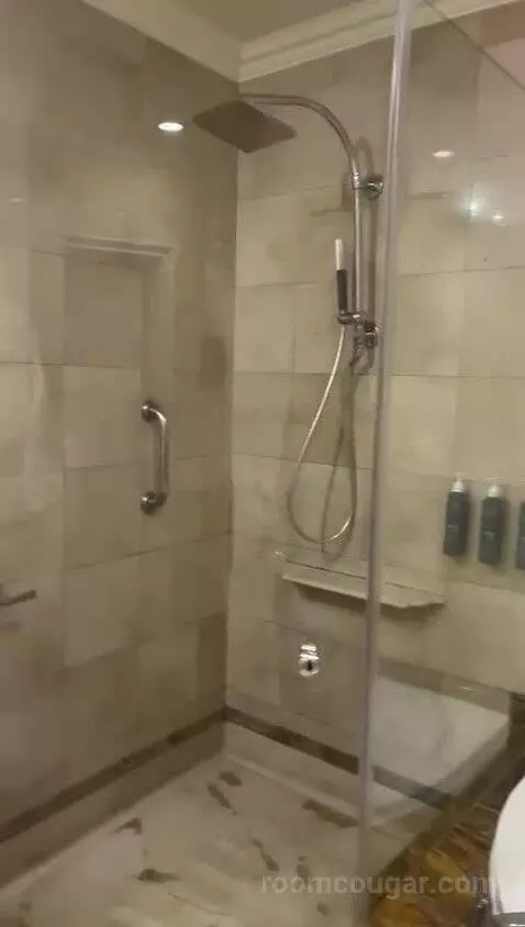 Deluxe, 1 Bedroom Junior Suite, 1 King, City View, Whirlpool (#1042) bathroom picture #5