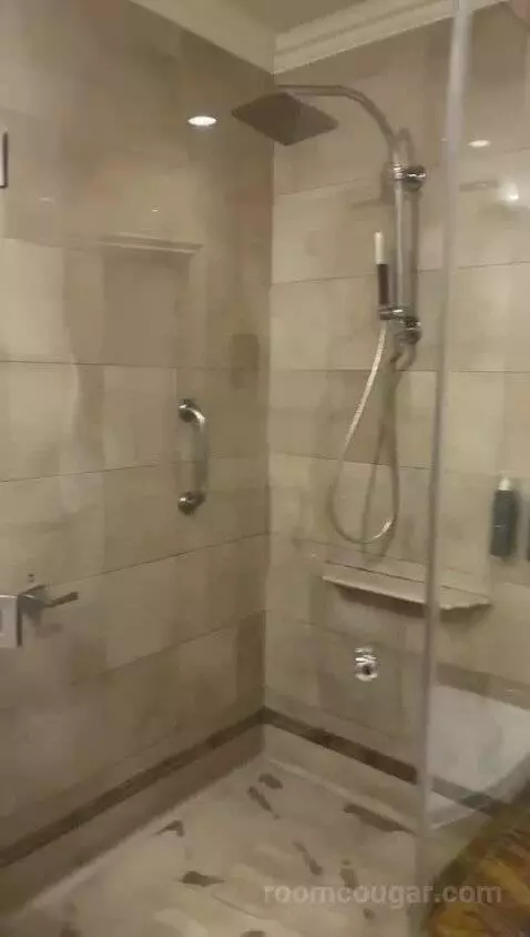 Deluxe, 1 Bedroom Junior Suite, 1 King, City View, Whirlpool (#1042) bathroom picture #6