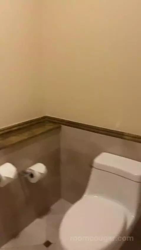 Deluxe, 1 Bedroom Junior Suite, 1 King, City View, Whirlpool (#1042) bathroom picture #8