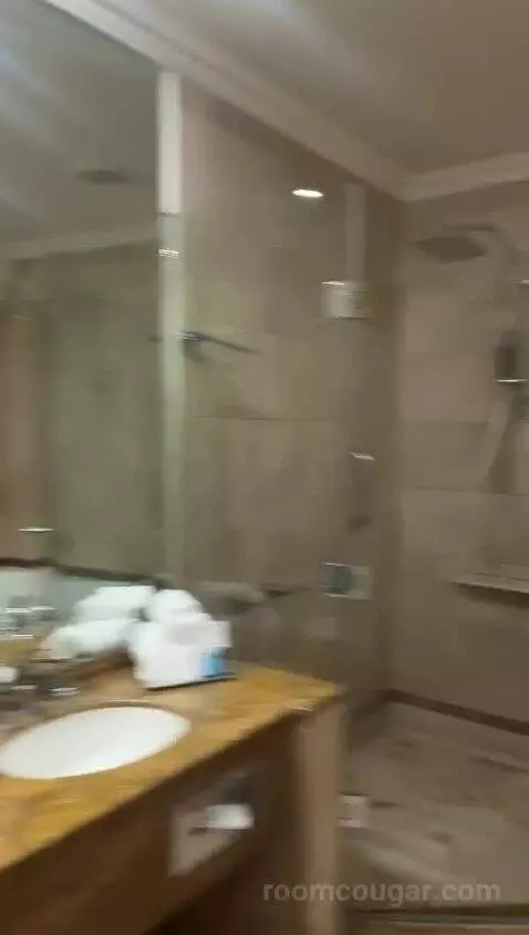 Deluxe, 1 Bedroom Junior Suite, 1 King, City View, Whirlpool (#1042) bathroom picture #9