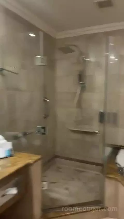 Deluxe, 1 Bedroom Junior Suite, 1 King, City View, Whirlpool (#1042) bathroom picture #10