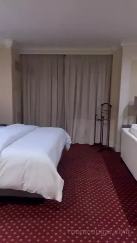 Deluxe, 1 Bedroom Junior Suite, 1 King, City View, Whirlpool (#1042) bed picture #10