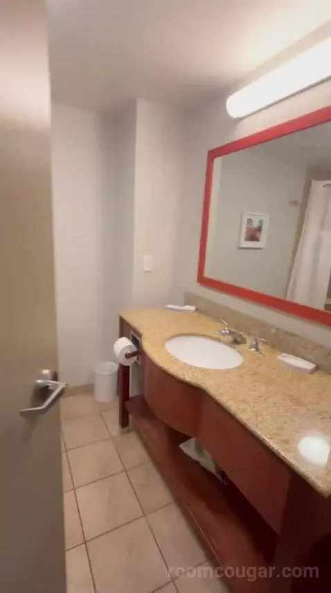 Standard (#315) bathroom picture #1