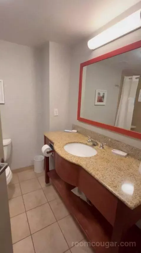 Standard (#315) bathroom picture #3