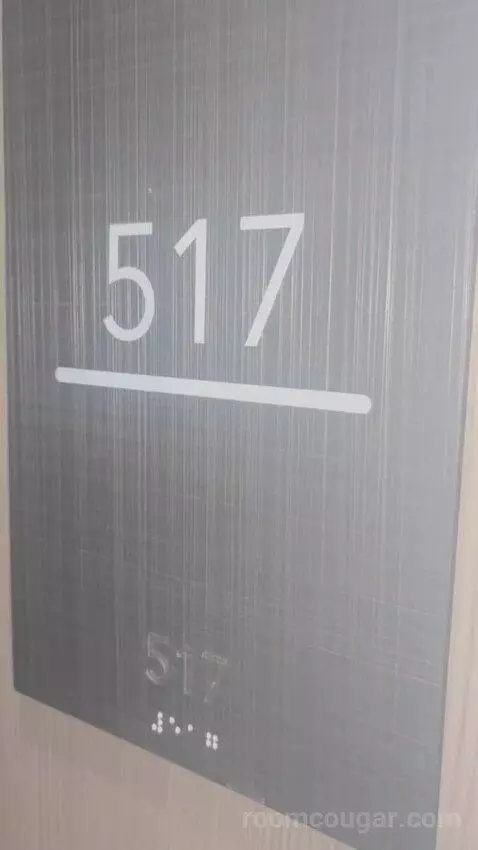 Traditional, Guest Room, 1 King, Limited View (#517) picture #1