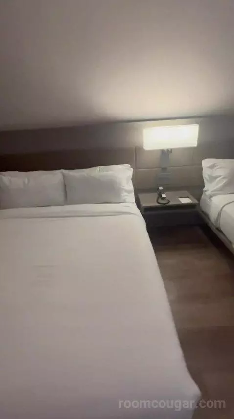 Traditional, Guest Room, 1 King, Limited View (#517) bed picture #3