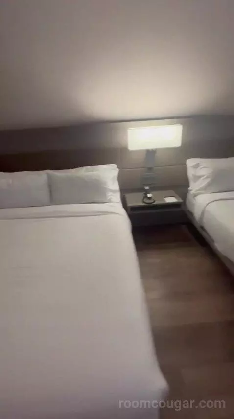 Traditional, Guest Room, 1 King, Limited View (#517) bed picture #4