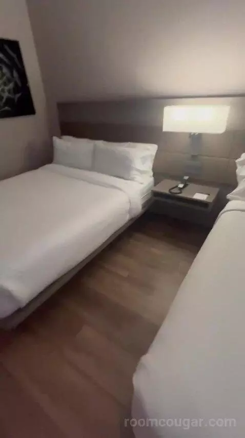 Traditional, Guest Room, 1 King, Limited View (#517) bed picture #5