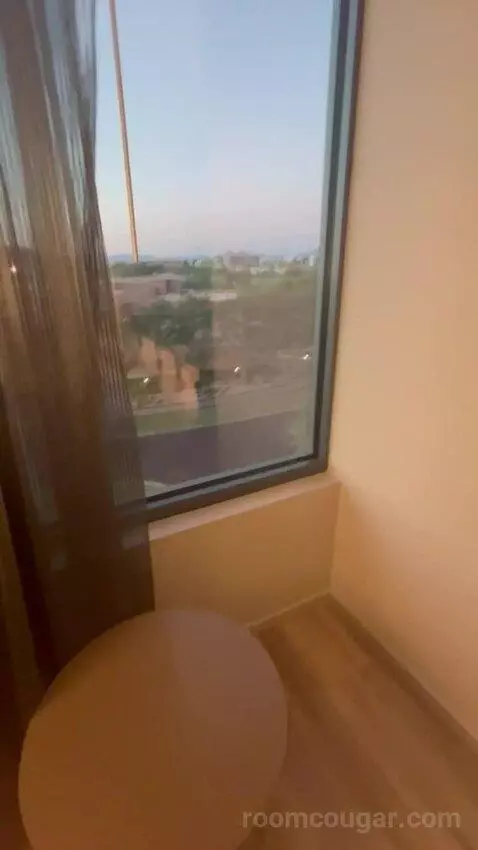 Traditional, Guest Room, 1 King, Limited View (#517) picture #20