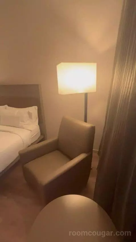 Traditional, Guest Room, 1 King, Limited View (#517) picture #23