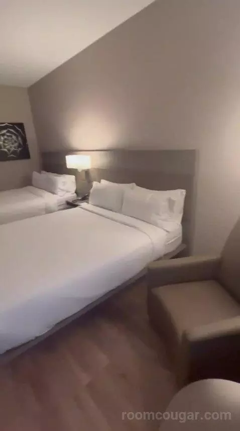 Traditional, Guest Room, 1 King, Limited View (#517) bed picture #9