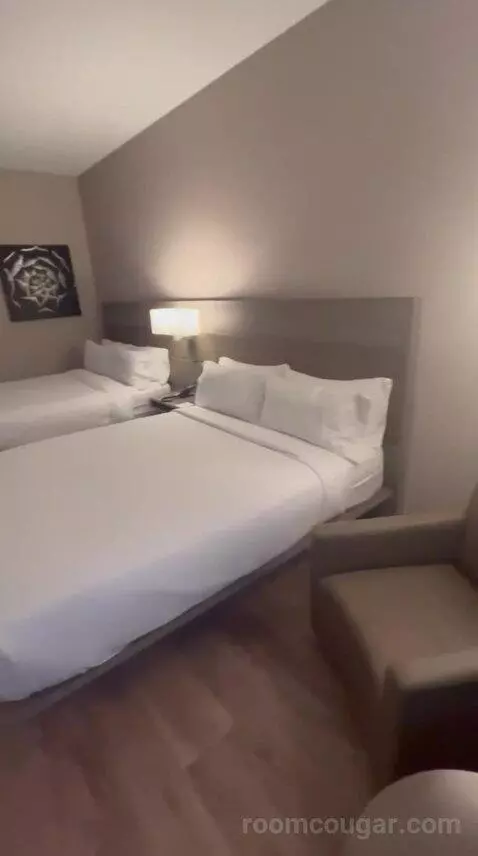 Traditional, Guest Room, 1 King, Limited View (#517) bed picture #10