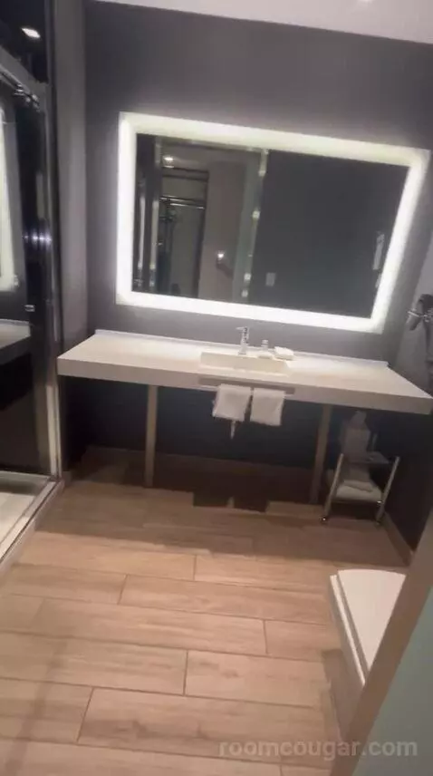 Traditional, Guest Room, 1 King, Limited View (#517) bathroom picture #4