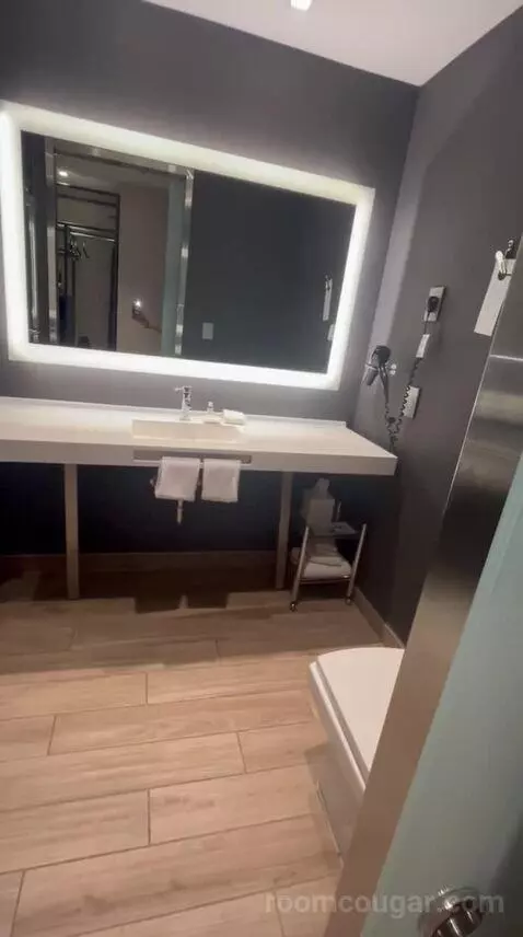 Traditional, Guest Room, 1 King, Limited View (#517) bathroom picture #5
