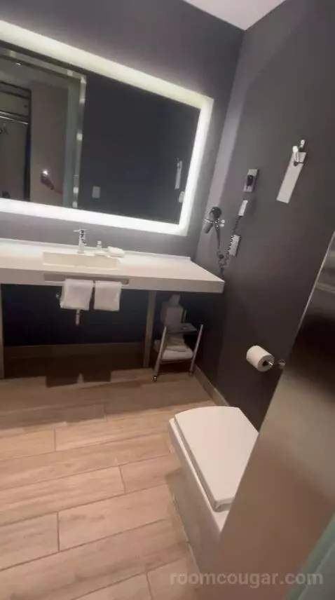 Traditional, Guest Room, 1 King, Limited View (#517) bathroom picture #7