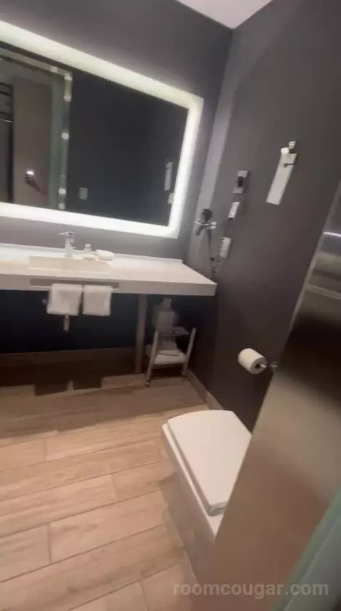 Traditional, Guest Room, 1 King, Limited View (#517) bathroom picture #8