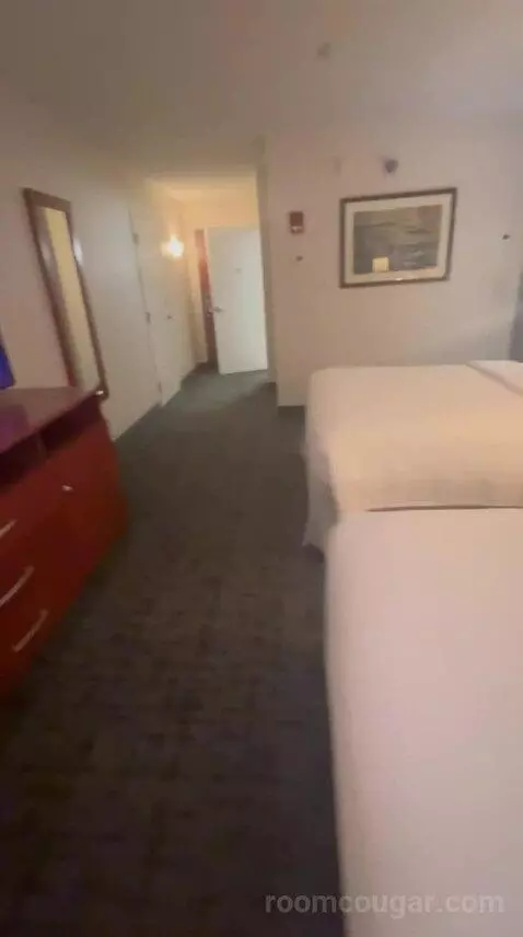 Standard (#919) bed picture #5