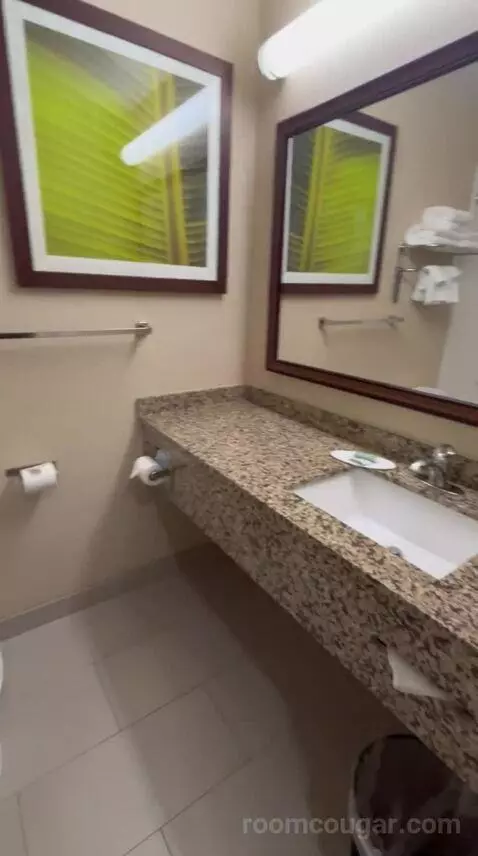 Standard Two Queen Bedroom (#318) bathroom picture #7