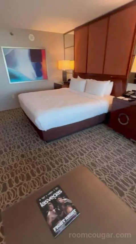 Executive King Suite + Grand Queen Room (#21-329) bed picture #5