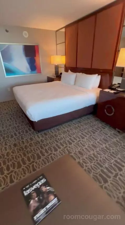 Executive King Suite + Grand Queen Room (#21-329) bed picture #6