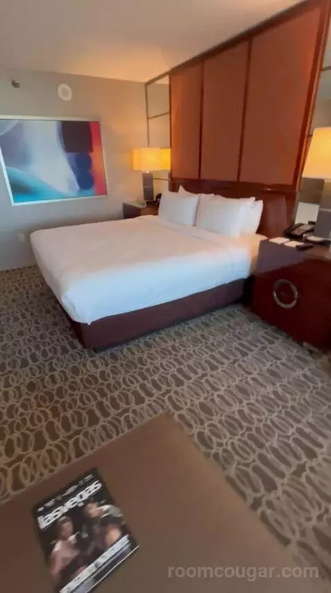 Executive King Suite + Grand Queen Room (#21-329) bed picture #7