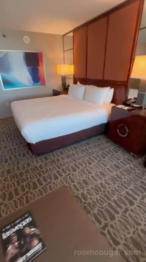 Executive King Suite + Grand Queen Room (#21-329) bed picture #8