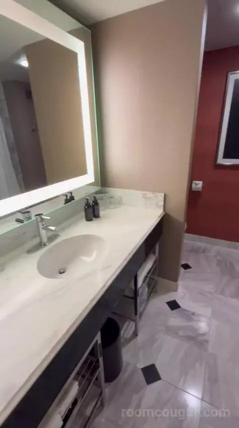 Executive King Suite + Grand Queen Room (#21-329) bathroom picture #1