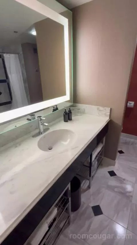 Executive King Suite + Grand Queen Room (#21-329) bathroom picture #4