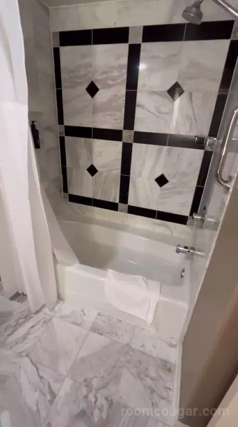 Executive King Suite + Grand Queen Room (#21-329) bathroom picture #11