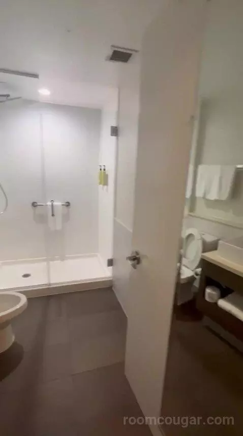 King Room (#306) bathroom picture #6