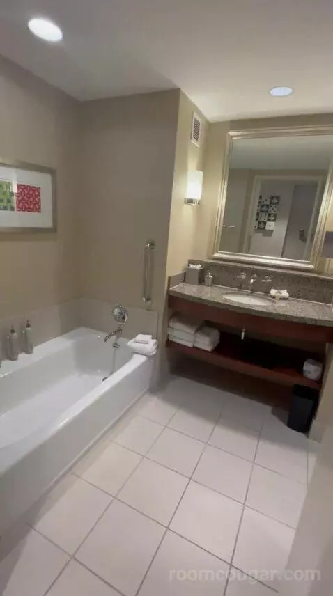 King Room (#1452) bathroom picture #3