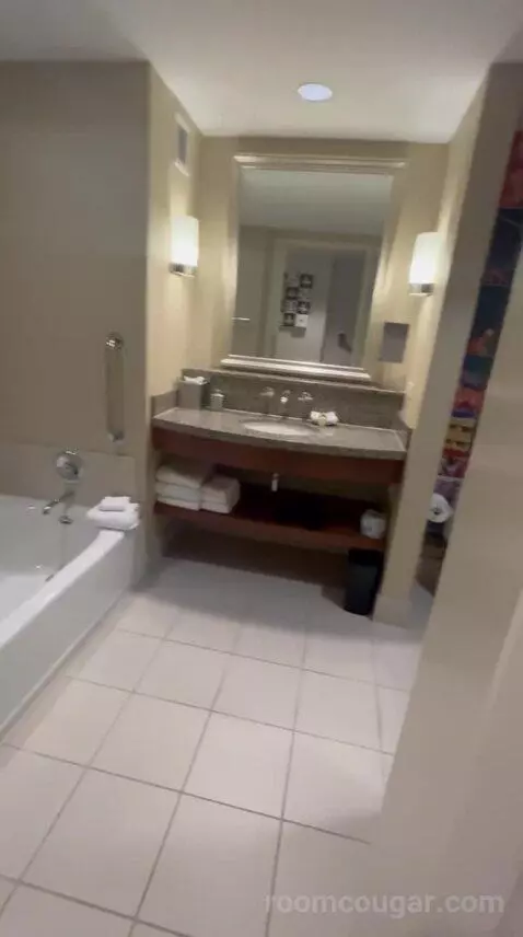 King Room (#1452) bathroom picture #5