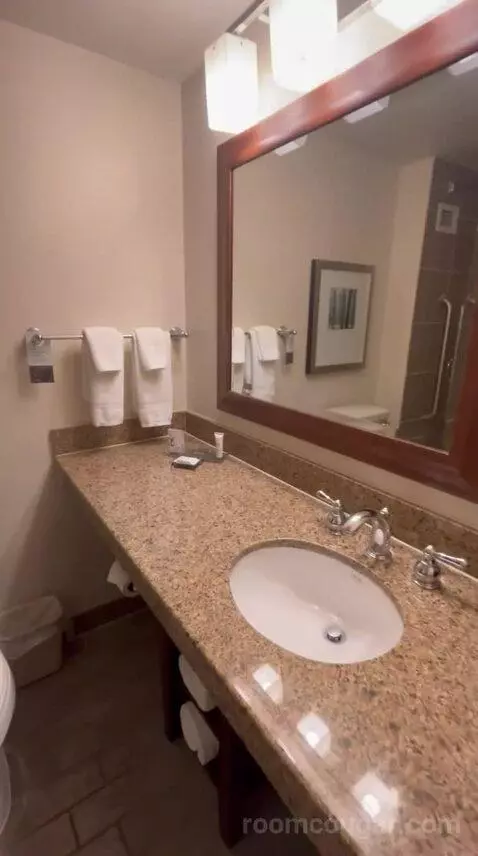 King Room - Concierge Level (#1511) bathroom picture #3