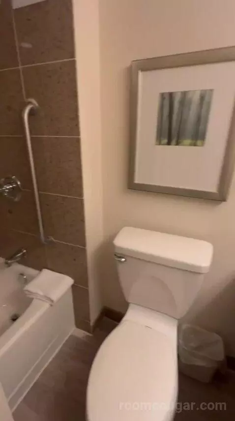 King Room - Concierge Level (#1511) bathroom picture #5