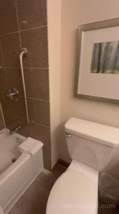 King Room - Concierge Level (#1511) bathroom picture #6