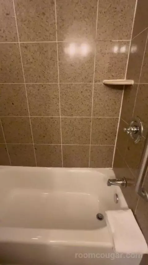 King Room - Concierge Level (#1511) bathroom picture #7