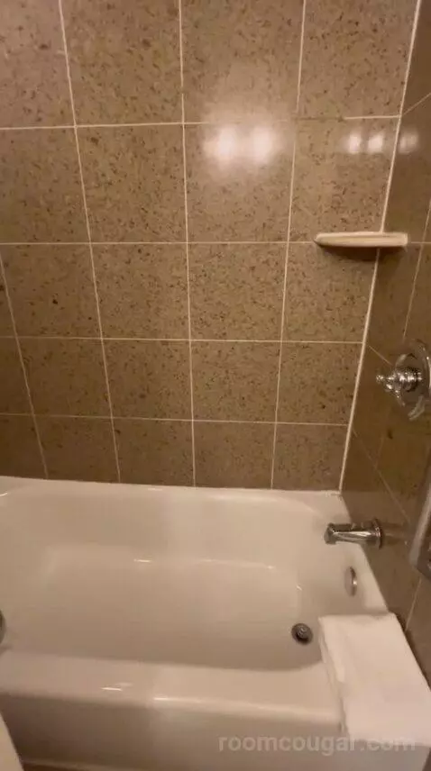 King Room - Concierge Level (#1511) bathroom picture #8