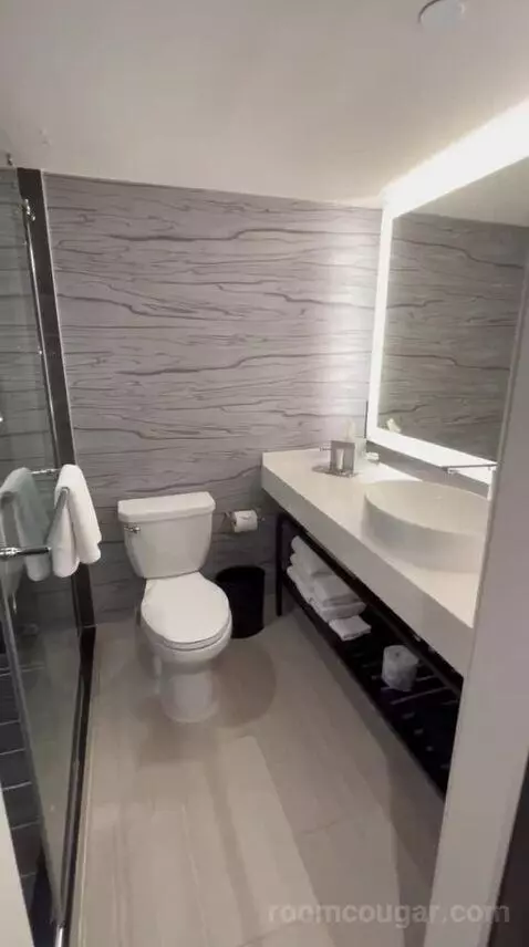King Room (#1407) bathroom picture #2
