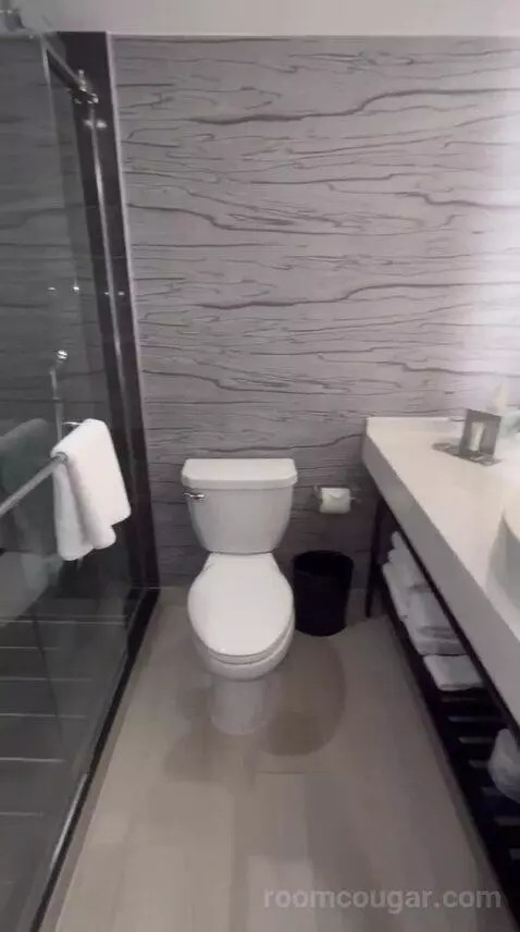 King Room (#1407) bathroom picture #6